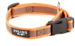 Julius K9 Collar -Suministros Para Perros collar 6