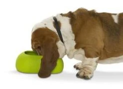 KRUUSE Comedero Antideslizante Incredibowl 1 L -Suministros Para Perros comedero antideslizante incredibowl 1 l 5