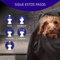 ARTERO Champú Blanc Para Perros De Pelo Blanco 7 ARTERO Champú Blanc Para Perros De Pelo Blanco -Suministros Para Perros como lavar con champu a tu perro 64527631b2ea5