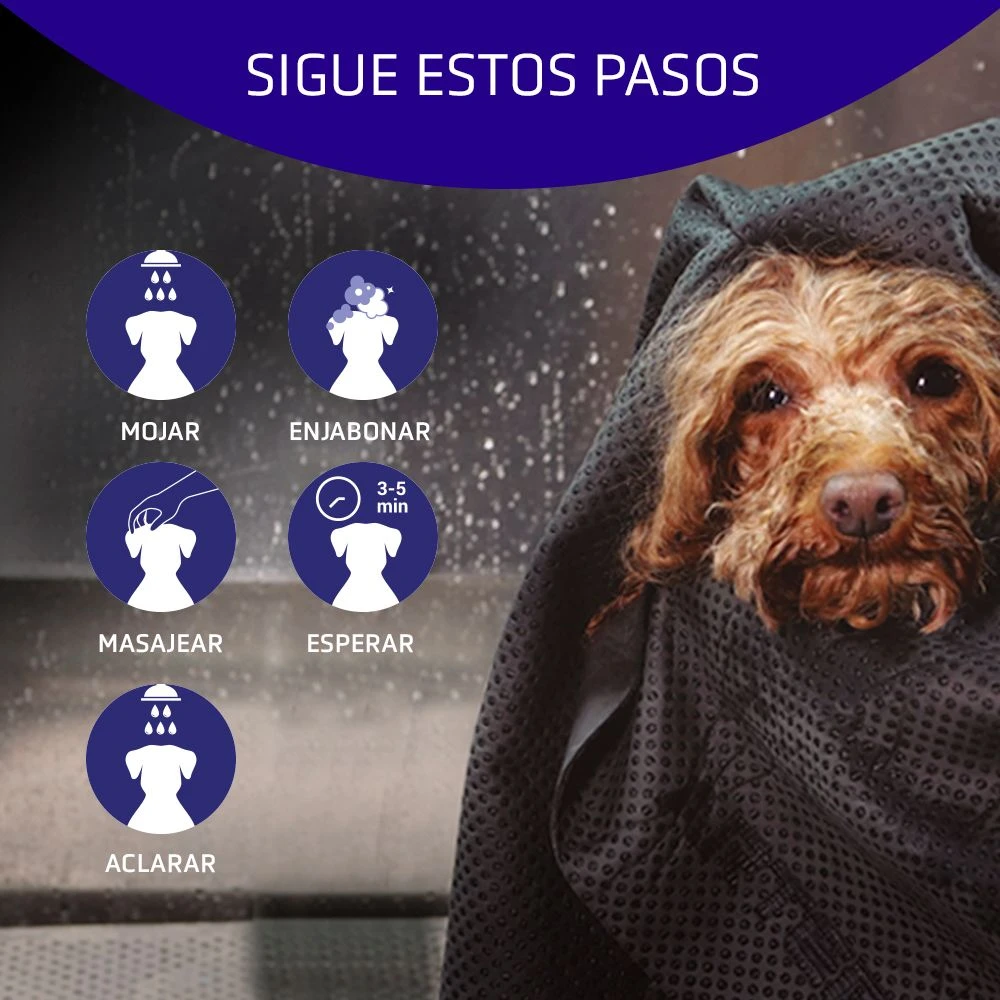 ARTERO Champú Blanc Para Perros De Pelo Blanco 4 ARTERO Champú Blanc Para Perros De Pelo Blanco - Imagen 4