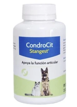 Condroproctector Para Perros Y Gatos Condrocit 9 Condroproctector Para Perros Y Gatos Condrocit -Suministros Para Perros controcit stangest 647770f80ace0