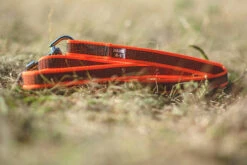 Julius K9 Correa Engomada Con Asa Naranja 6 Julius K9 Correa Engomada Con Asa Naranja -Suministros Para Perros correa julius para perros naranja 6304e95a15a83