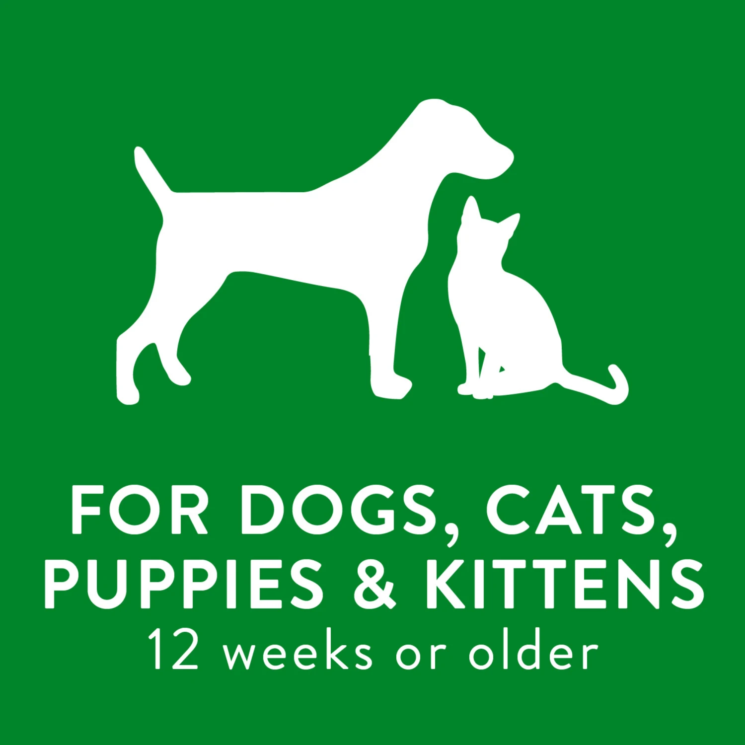 Tropiclean Champú Hipoalergénico Coco 7 Tropiclean Champú Hipoalergénico Coco - Imagen 7