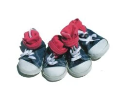 Deportivas AllStar Para Mascotas