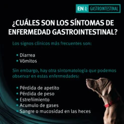 EN Gastrointestinal Mousse -Suministros Para Perros en gastrointestinal mousse 3