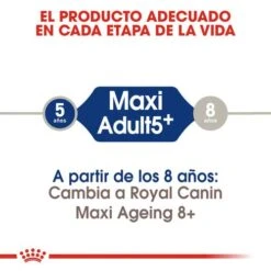ROYAL CANIN Maxi Adult 5+ Pienso Para Perro Sénior De Razas Tamaño Grande 12 ROYAL CANIN Maxi Adult 5+ Pienso Para Perro Sénior De Razas Tamaño Grande -Suministros Para Perros etapa 6246c4d1e7be1