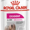 ROYAL CANIN Pack 12 Exigent