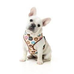 Fuzzyard Arnes Go Nuts 7 Fuzzyard Arnes Go Nuts -Suministros Para Perros fuzzyard harness gonuts dog 2 622b13ed36912