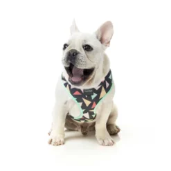 Fuzzyard Arnés RAD 5 Fuzzyard Arnés RAD -Suministros Para Perros fuzzyard rad charcoal with multi triangles dog harness 2 300x 62c29e338ca38