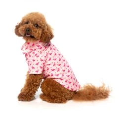 Fuzzyard Camiseta Hawaiana Fabboyant -Suministros Para Perros fzaw281 7 hawaiianshirt fabboyant dog 3 2 649ab3607d6f6