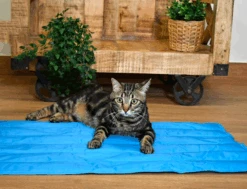 Manta Refrescante Cool Mat Azul Light Para Perros Y Gatos -Suministros Para Perros gatete cool 648190931e494