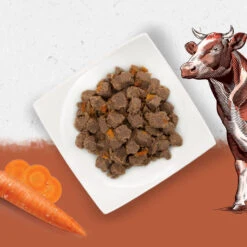 Beyond Pack 12 Grain Free Perro Buey 6 Beyond Pack 12 Grain Free Perro Buey -Suministros Para Perros grain free perro buey 3