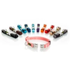 Hunter Collar Vario Basic Alu Strong Color Naranja -Suministros Para Perros hunter hunter coleira alu strong 63aca2810d684