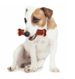 Bone Ternera Asada Y Vino Tinto 5 Bone Ternera Asada Y Vino Tinto -Suministros Para Perros image qp 3 6349154872eda