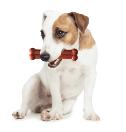 Bone Pollo Asado Y Tomillo 3 Bone Pollo Asado Y Tomillo - Imagen 3