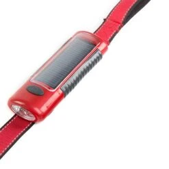 Dog-E-Lite Correa Con Luz Led