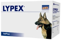 Lypex Para Problemas Del Páncreas En Perros Y Gatos
