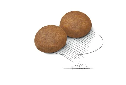 ROYAL CANIN Maxi Adult 5+ Pienso Para Perro Sénior De Razas Tamaño Grande 4 ROYAL CANIN Maxi Adult 5+ Pienso Para Perro Sénior De Razas Tamaño Grande - Imagen 4