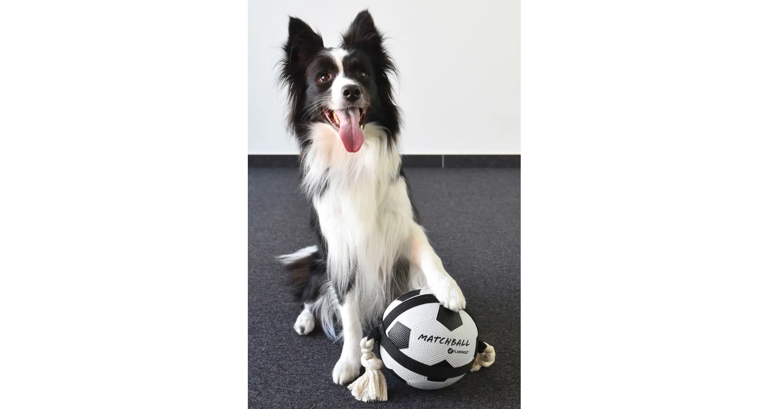 Flamingo Pelota Action Ball Fútbol Grande Diametro 22 Cm 1 Flamingo Pelota Action Ball Fútbol Grande Diametro 22 Cm