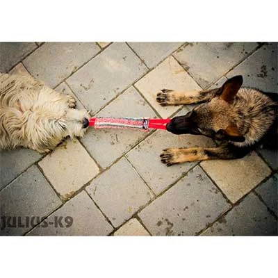 Julius K9 Mordedor De Tela Francesa 2 Asas 3 Julius K9 Mordedor De Tela Francesa 2 Asas - Imagen 3