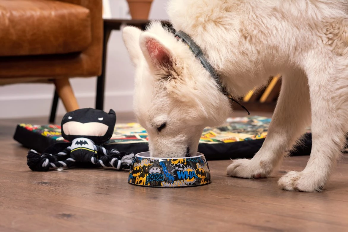 Mordedor Para Perro Batman 7 Mordedor Para Perro Batman - Imagen 7