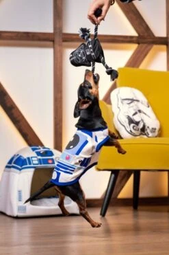 Mordedor Para Perro Star Wars -Suministros Para Perros mordedor para perro star wars 7