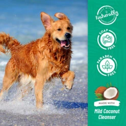 Tropiclean Champú Hipoalergénico Coco 15 Tropiclean Champú Hipoalergénico Coco -Suministros Para Perros ng9ltaph9wokpmteafke 3 6368c650e1e65