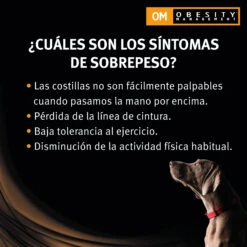 Pack 12 OM Obesity Management Mousse -Suministros Para Perros om obesity management mousse 3
