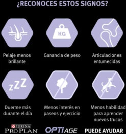 PRO PLAN Optiage Adult 7+ De Pollo Medium/Large -Suministros Para Perros optiage adult 7 de pollo medium large 4