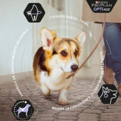 PRO PLAN Optiage Adult 9+ De Pollo Small/Mini -Suministros Para Perros optiage adult 9 de pollo small mini 2