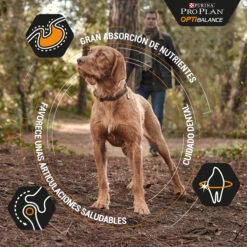 PRO PLAN Optibalance Duo Délice Adult Pollo Small/Mini -Suministros Para Perros optibalance duo delice adult pollo small mini 2