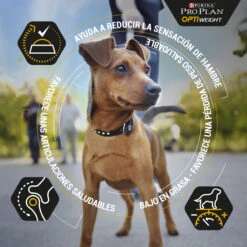 PRO PLAN Optiweight Adult De Pollo -Suministros Para Perros optiweight adult de pollo 2