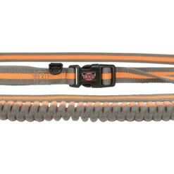 Trixie Correa Para Perros Especial Para Correr Gris Verde 9 Trixie Correa Para Perros Especial Para Correr Gris Verde -Suministros Para Perros originals PHO PRO DET CLIP PHO PRO DET CLIP 12763 3 SALL AWK V1 63106efce7cb9