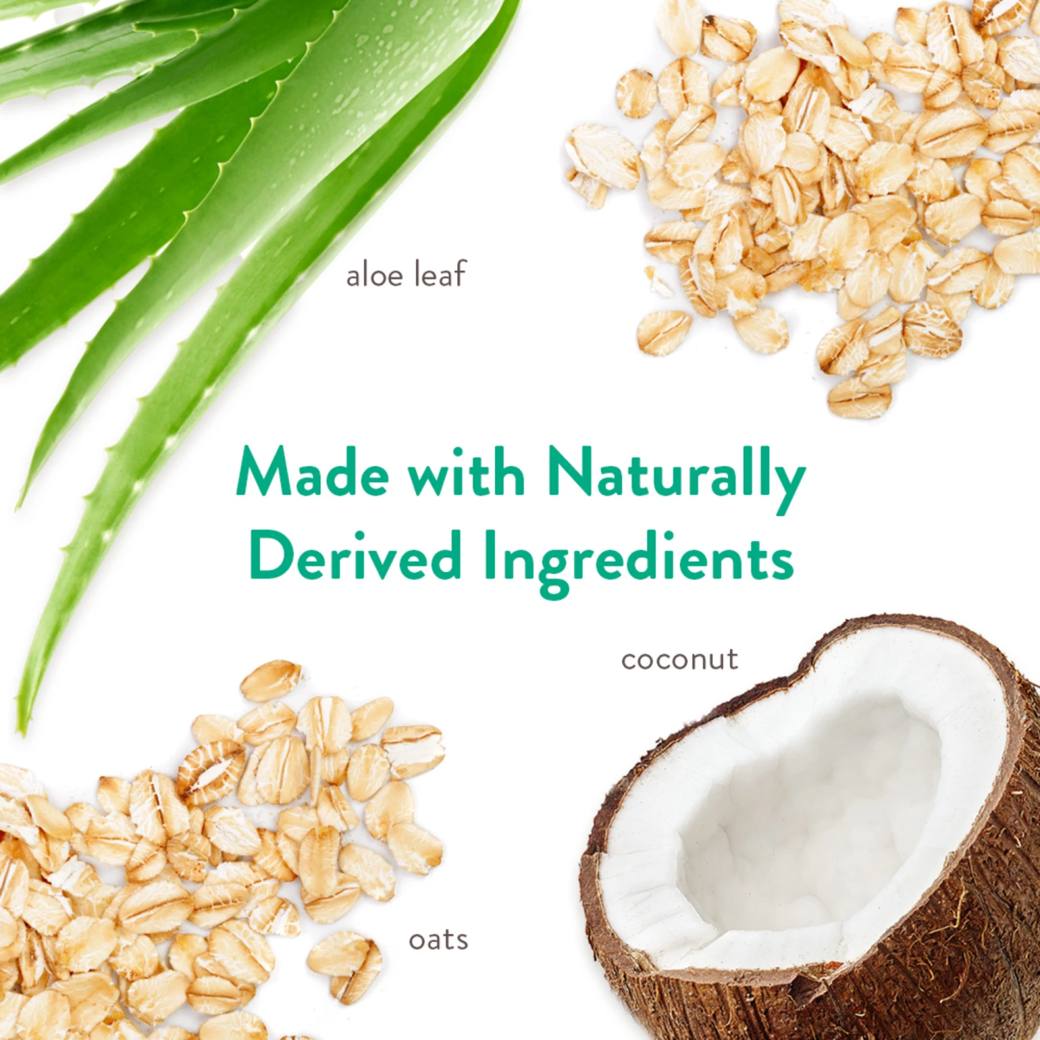 Tropiclean Champú Hipoalergénico Coco 4 Tropiclean Champú Hipoalergénico Coco - Imagen 4