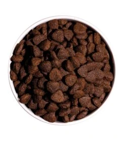 Pienso Para Perros Classic Cordero Y Arroz -Suministros Para Perros ow classic lamb rice platoadl 6389eeec81d4d