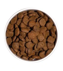 Prime Canine Senior Grain Free Pollo Y Pavo 6 Prime Canine Senior Grain Free Pollo Y Pavo -Suministros Para Perros ow grain free prime senior chicken turkey platoadl 6389ebf791591