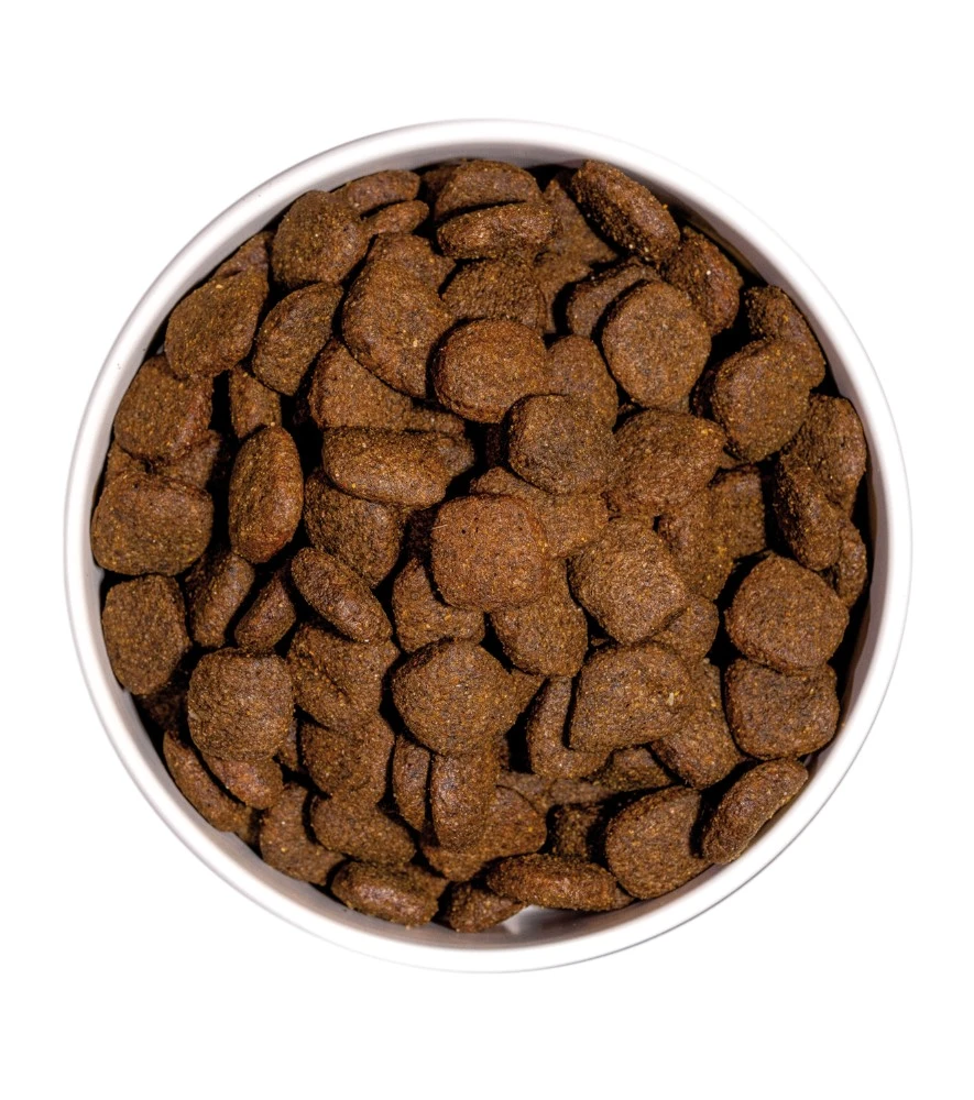 Prime Canine Senior Grain Free Pollo Y Pavo 3 Prime Canine Senior Grain Free Pollo Y Pavo - Imagen 3