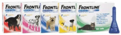 Frontline Spot On Para Perros (20 - 40 Kg) -Suministros Para Perros packshot 62729a9d71a1b