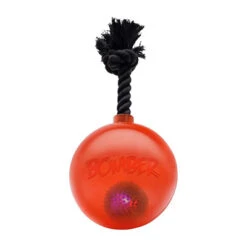 Bomber Pelota Bomba Naranja Para Perros