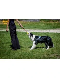 Julius K9 Pelota IDC Fluorescente Amarilla -Suministros Para Perros pelota idc lumino asa cerrable 3 63a02a1b8bb2e