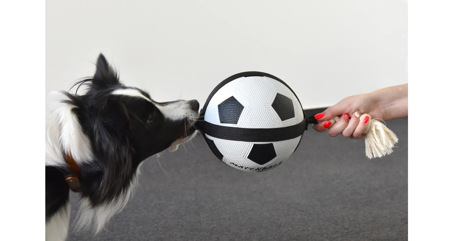 Flamingo Pelota Action Ball Fútbol Grande Diametro 22 Cm 2 Flamingo Pelota Action Ball Fútbol Grande Diametro 22 Cm - Imagen 2