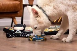 Peluche Para Perro Batman -Suministros Para Perros peluche para perro batman 7