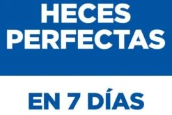 Hill's Perfect Digestion Perros Adultos Razas Pequeña Y Mini Pollo Y Arroz -Suministros Para Perros perfect digestion perros adultos razas pequenas minis pollo arroz 6 6 6