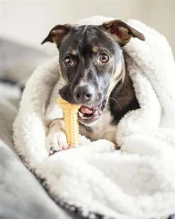 Nylabone Extreme Chew Barbell L