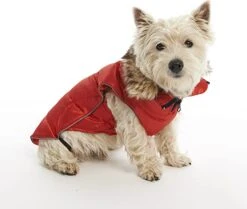 KRUUSE Abrigo Para Perros Buster Active Rojo -Suministros Para Perros perro westie con chaqueta roja 634537683aabd