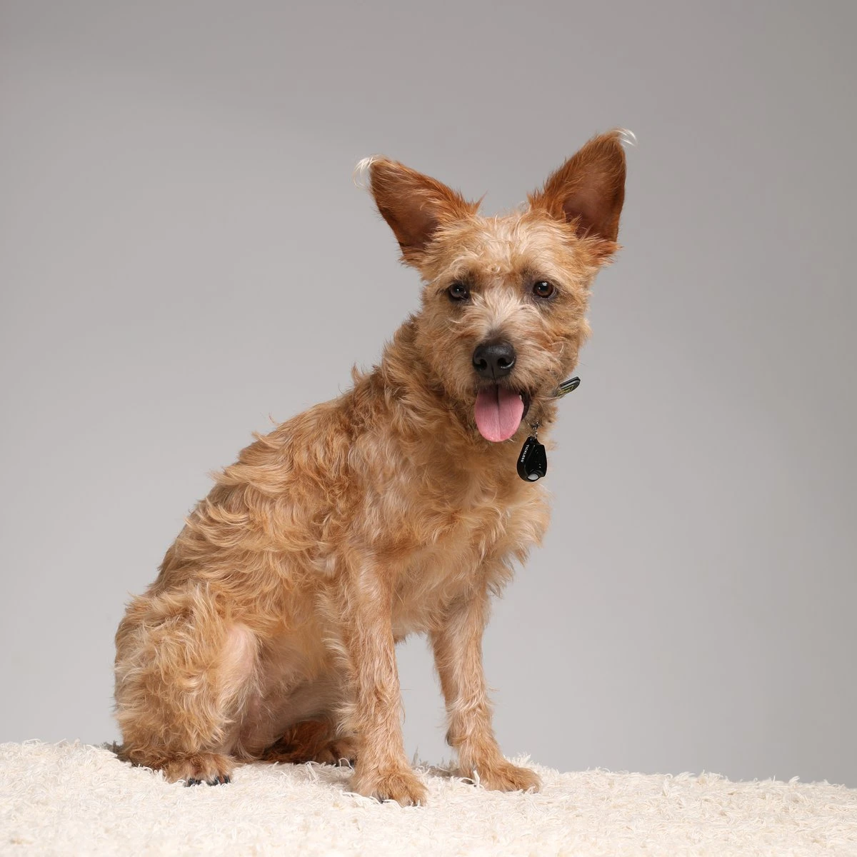 Tickless Repelente De Insectos Ultrasónico Rosa 4 Tickless Repelente De Insectos Ultrasónico Rosa - Imagen 4