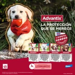Advantix Pipetas Spot On Para Perro De Más De 25 Kg 14 Advantix Pipetas Spot On Para Perro De Más De 25 Kg -Suministros Para Perros pipetas advantix 63ea70074f66c