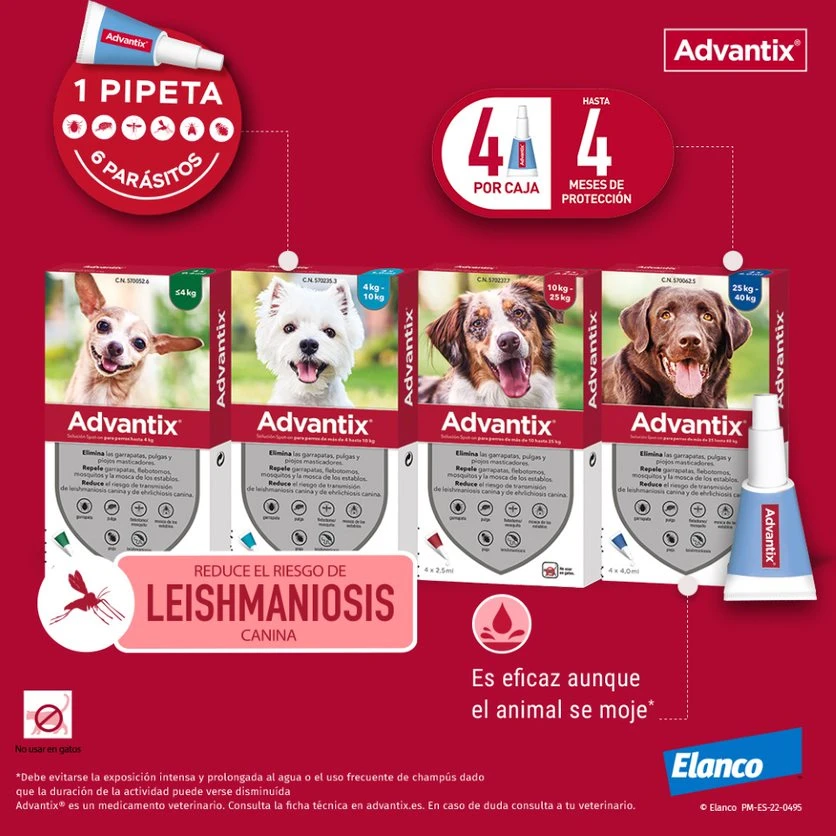 Advantix Pipetas Spot On Para Perro De Más De 25 Kg 4 Advantix Pipetas Spot On Para Perro De Más De 25 Kg - Imagen 4
