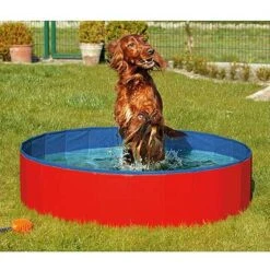 Flamingo Piscina Doggy Pool Para Perros Roja -Suministros Para Perros piscina doggy pool roja azul