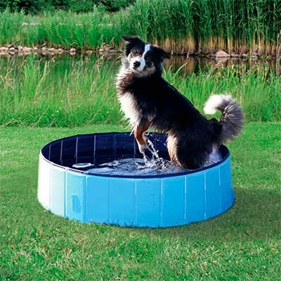 Trixie Piscina Para Perros Azul 2 Trixie Piscina Para Perros Azul - Imagen 2